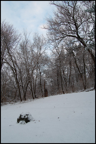 Walt's Backyard - Snow Pic 2